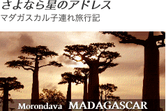 マダガスカル子連れ旅行記