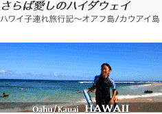 8回目のハワイ子連れ旅行記