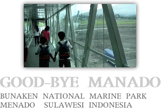 さよらなメナド空港