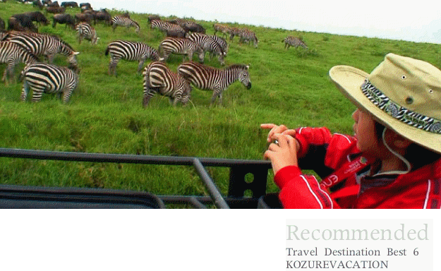 タンザニアでサファリカーの上から野生動物を見学する長男
