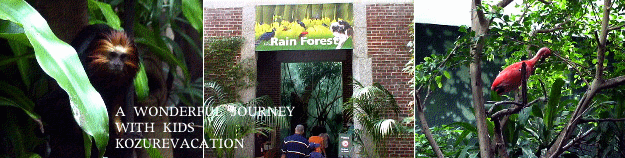 セントラルパーク動物園の熱帯雨林感
