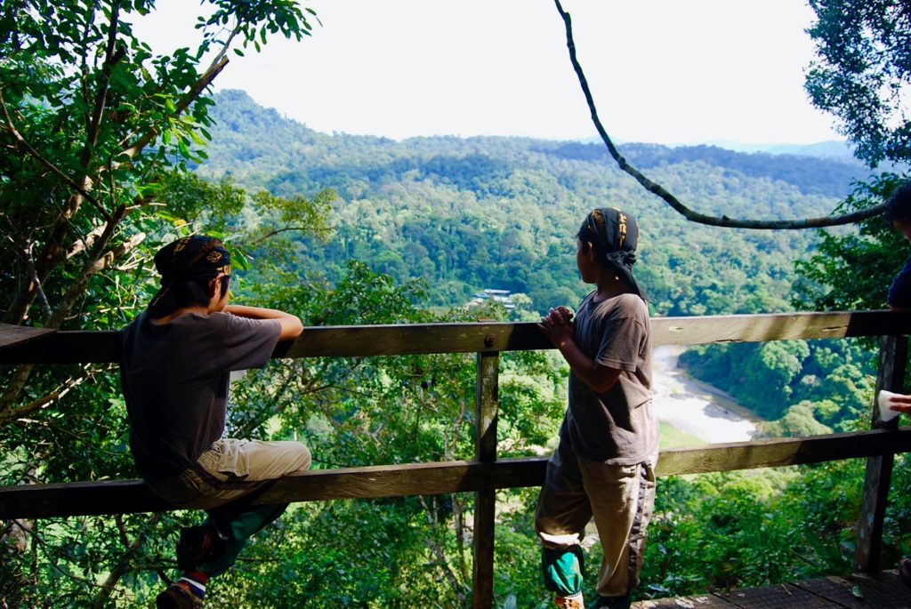 見晴台から熱帯雨林の森を眺める子供達