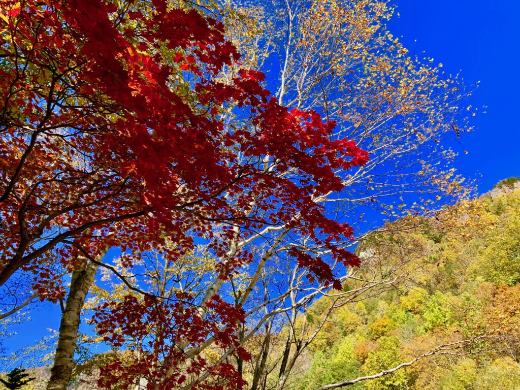 層雲峡の紅葉