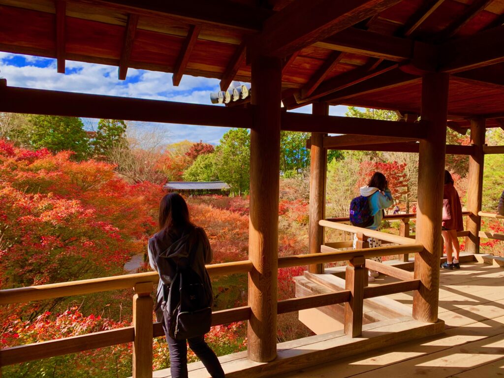 洗玉澗にかかる通天橋から眺める東福寺の紅葉