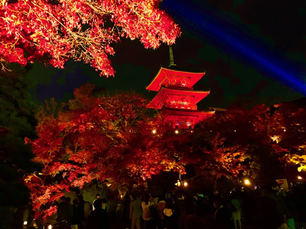 清水寺の紅葉とライトアップ
