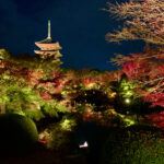 東寺の紅葉ライトアップ
