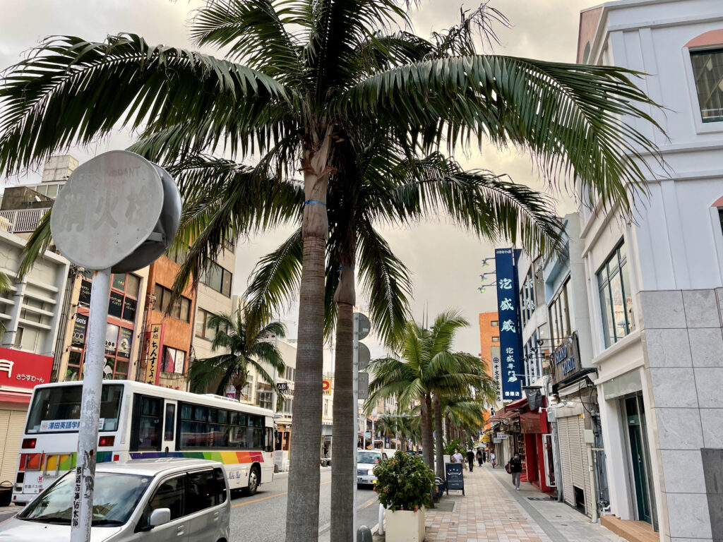 国際通りの椰子の並木