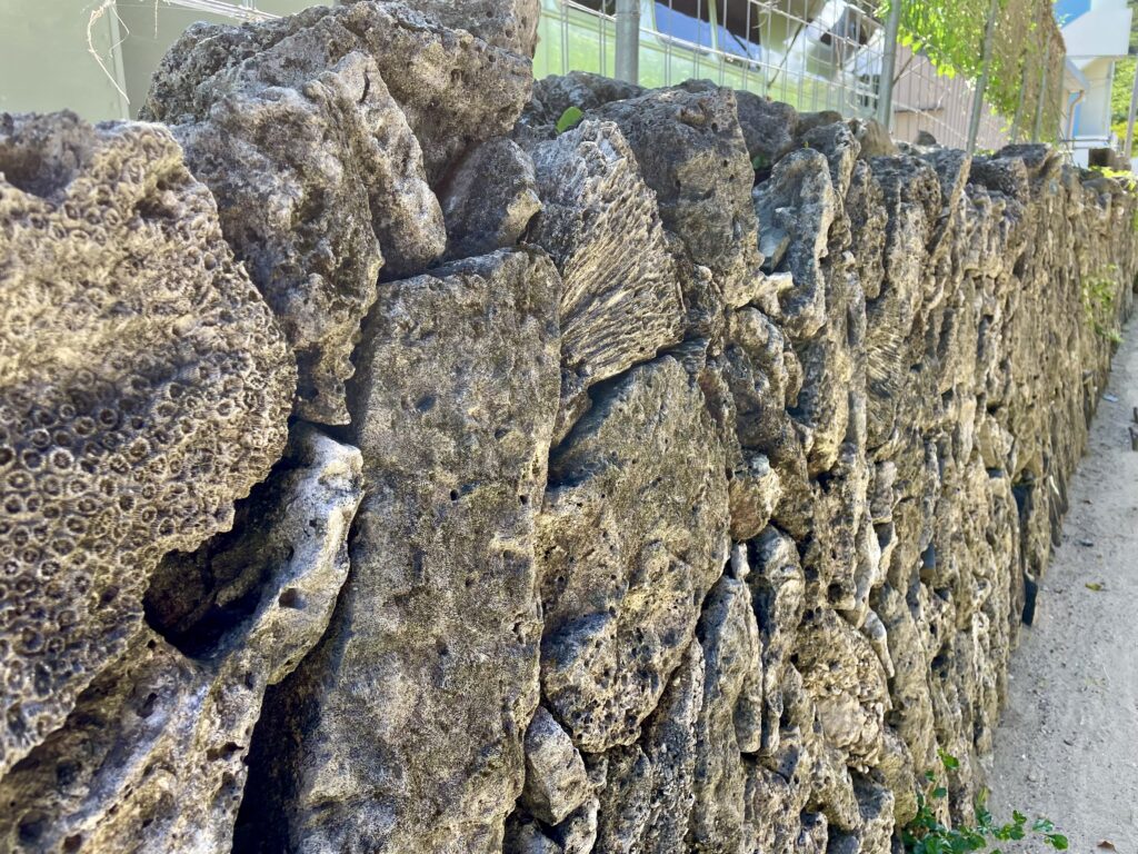 珊瑚で作られた塀