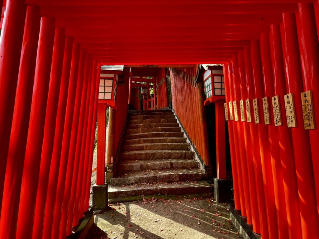 Torii stairs at Taikodani Inari Shrine, Tsuwano