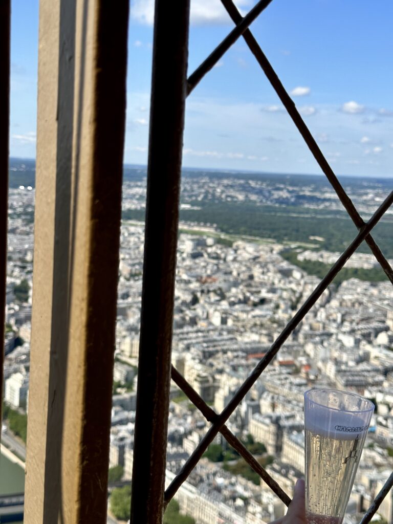 シャパンとエッフェル塔から見下ろすパリの街並み