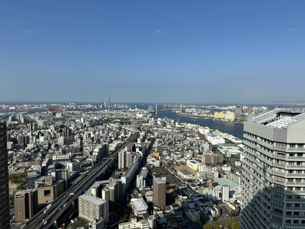 49階からの大阪湾方面の眺め